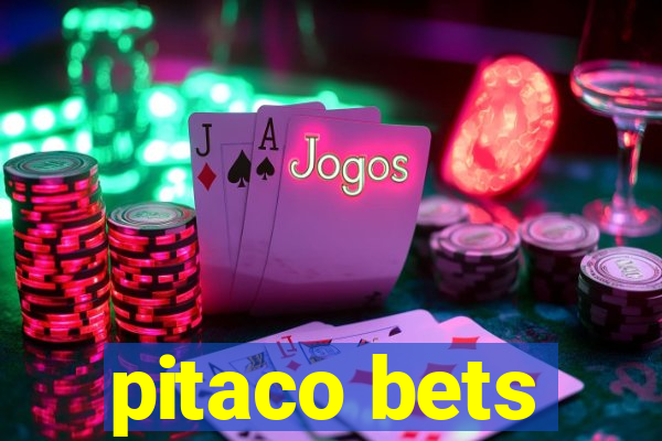 pitaco bets